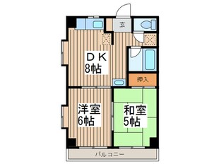 ルミエール川口の物件間取画像